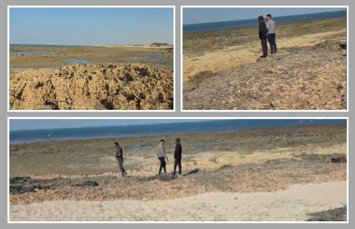 દેવભૂમિ દ્વારકાના મકનપુરમાં દરિયામાં નાહવા પડેલા રાજસ્થાનના 4 યુવાનો ડૂબ્યા, 3નો બચાવ એક ગુમ