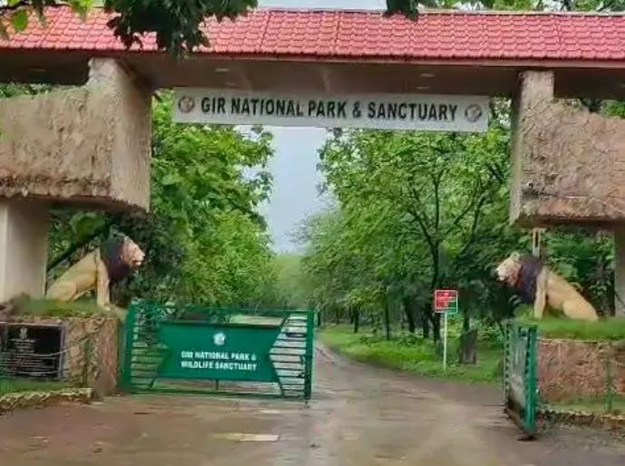 સિંહ દર્શનના ઓનલાઇન પરમિટમાં ગોટાળો, 2 કરોડના કૌભાંડની શંકા