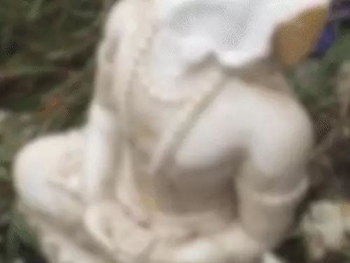 ગિરનાર પર્વત પર ગુરુ ગૌરક્ષનાથ મંદિરમાં તોડફોડ:અસામાજિક તત્વોએ મૂર્તિ ખંડિત કરી