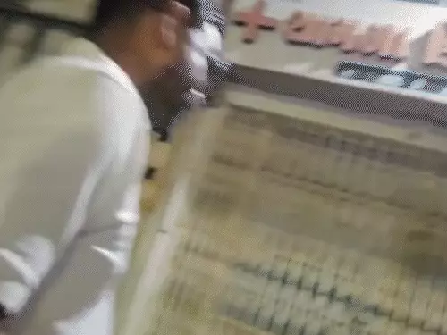 સુરતમાં 'AAP' નેતાના સાગરીતનો હપ્તા લેતો VIDEO:સસ્તા અનાજના વેપારીઓને કાળાબજારી કહી વીડિયો બનાવી ડરાવી લાખો ઉઘરાવતા; મહામંત્રી શ્રવણ જોષી વિરુદ્ધ ફરિયાદ