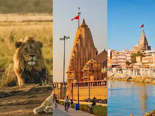 વિદેશી પર્યટકો ગુજરાતમાં ઘટ્યાં