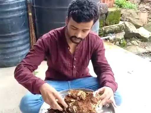 શેરડીના છોતરામાં 'મિલ્કી મશરૂમ'નું ઉત્પાદન!:જૂનાગઢના યુવકની અનોખી સિદ્ધિ