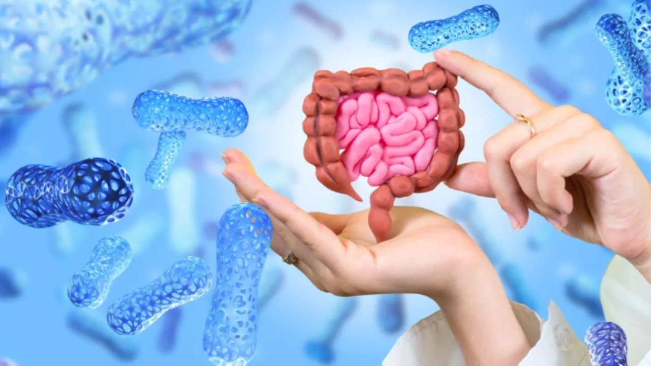 ગુજરાતી ખોરાક પ્રેમીઓ માટે પેટને તંદુરસ્ત રાખનારા છે 5 ફર્મેન્ટેડ ફૂડ, જાણો તેના વિશે