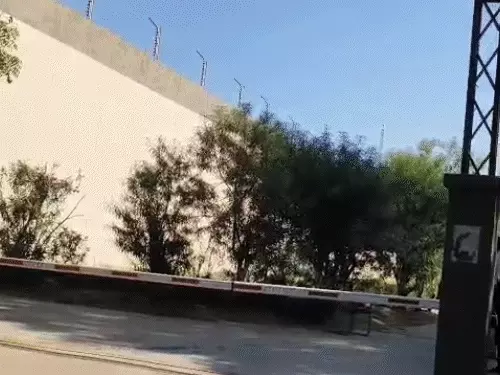 ભાજપ તેરી તાનાશાહી નહિ ચલેગી...:'ગુજરાત સરકારે મને જેલમાં બંધ ખેડૂતોને મળવાની મંજૂરી ના આપી, કેજરીવાલે X પર પોસ્ટ કરી; જેલ બહાર AAP કાર્યકર્તાઓની નારેબાજી