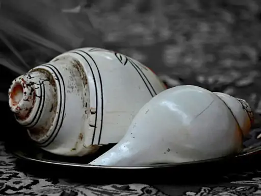 માર્ગશીર્ષ મહિનામાં ભગવાન કૃષ્ણ અને શંખની પૂજા કરવાની પરંપરા:સામાન્ય શંખને પંચજન્ય શંખના સ્વરૂપ તરીકે પૂજવું જોઈએ, જાણો પૂજાવિધિ અને મંત્ર