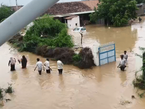 સાંતલપુર-રાધનપુર તાલુકામાં 50 હજાર હેક્ટરમાં નુકસાનીનો અંદાજ