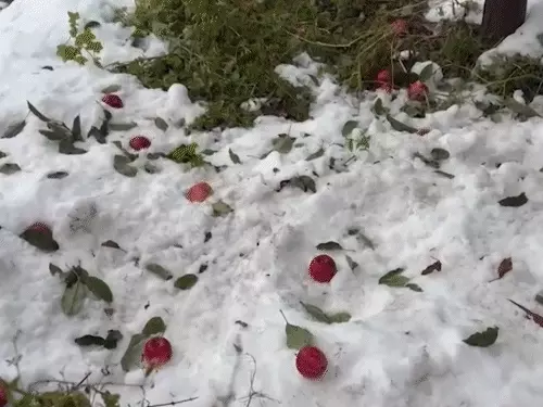 રાજસ્થાન અને મધ્યપ્રદેશના શહેરોમાં 15 ડિગ્રી સેલ્સિયસ સુધી પહોંચ્યું તાપમાન 