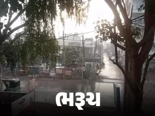 17 જિલ્લામાં ભારે પવન સાથે વરસાદની આગાહી:હવામાન વિભાગે યલો એલર્ટ જારી કર્યું; ભરૂચ-ગાંધીનગર બાદ અમદાવાદમાં વરસાદી ઝાપટાં