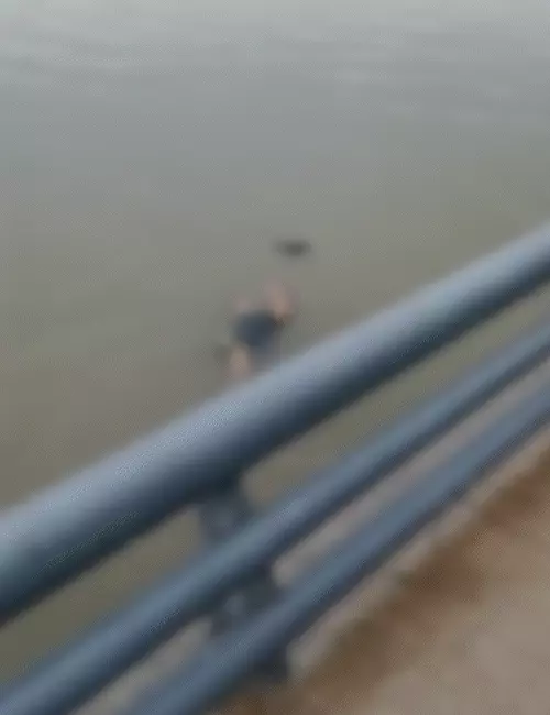 માતાની તરતી લાશ પર દીકરી, 5 સેકન્ડનો હચમચાવી નાખતો VIDEO:બાળકીને બહાર કાઢી CPR આપ્યું તો રડી