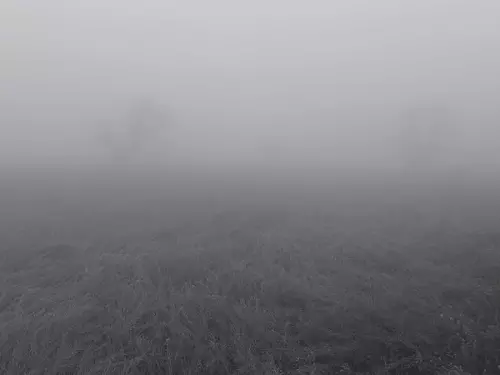 શ્રીનગરમાં પારો એક ડિગ્રી વધીને 2.4°C પર પહોંચ્યો:રાજસ્થાન, હરિયાણા અને હિમાચલમાં વેસ્ટર્ન ડિસ્ટર્બન્સ એક્ટિવ; યુપીમાં આજથી વરસાદની શક્યતા