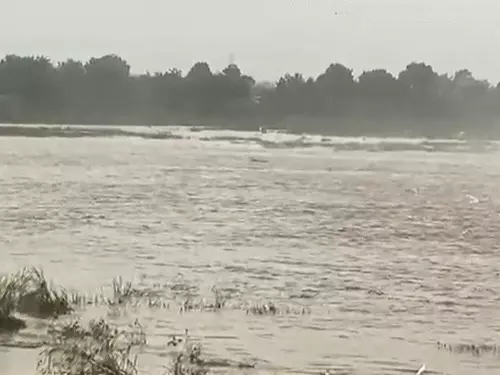 રાજુલાને વરસાદે ફરી ધમરોળ્યું, બે કલાકમાં બે ઈંચ:ધાતરવાડી ડેમ-2ના એકસાથે 10 દરવાજા ખોલાયા, નદી કાંઠાના ગામોમાં પૂરની સંભાવના; ટીંબી ગામની રુપેણી નદીમાં પૂર