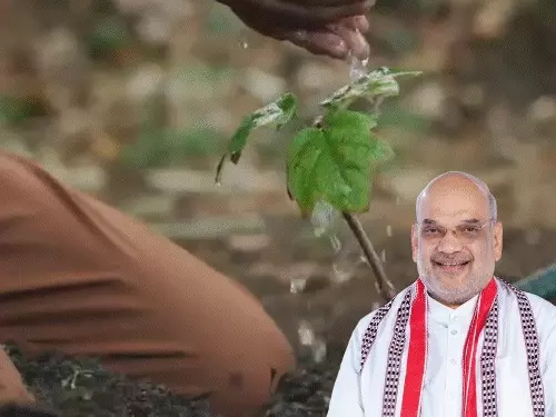 ગાંધીનગર લોકસભા મતવિસ્તારમાં હરિયાળી છવાઈ જશે:એક દિવસમાં 1 કરોડ વૃક્ષ વવાશે, ગૃહમંત્રી અમિત શાહ 12 જુલાઈએ કરાવશે કેમ્પેઇનનો પ્રારંભ, રોપા મેળવવા આ નંબર પર સંપર્ક કરો