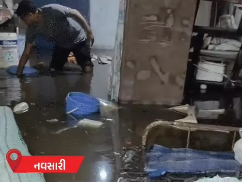 નવસારીમાં સૌથી વધુ 3.66 ઈંચ વરસાદ, ઘરોમાં પાણી ઘૂસ્યાં:ધોલેરામાં પણ શરૂ, 48 કલાકમાં ચોમાસું ગુજરાતને કવર કરી લેશે; ભારેથી અતિભારે વરસાદની આગાહી