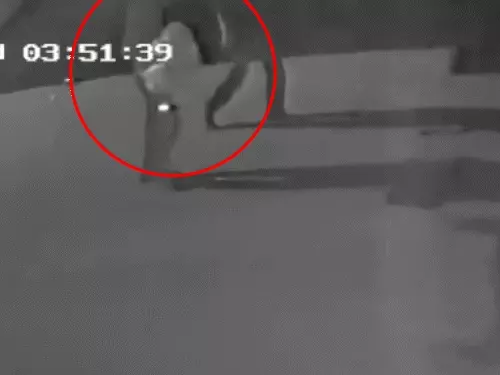 સુરતમાં એક જ રાતમાં આઠ ગણેશ પંડાલમાં ચોરી:ચાંદીની મૂર્તિ, તાંબાના દીવા સહિતની વસ્તુઓ ઉઠાવી ગયા